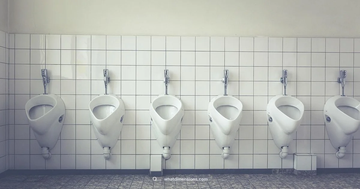 Toilet Size Essentials - What Dimensions