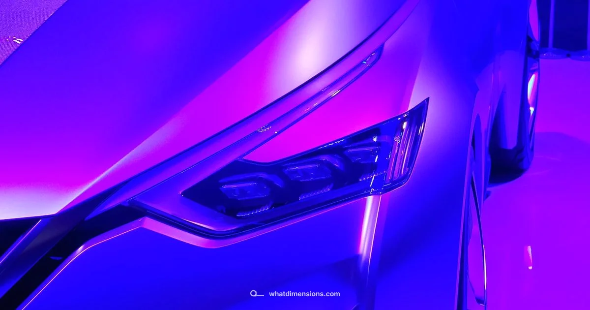 Magnite Sizing Guide - What Dimensions