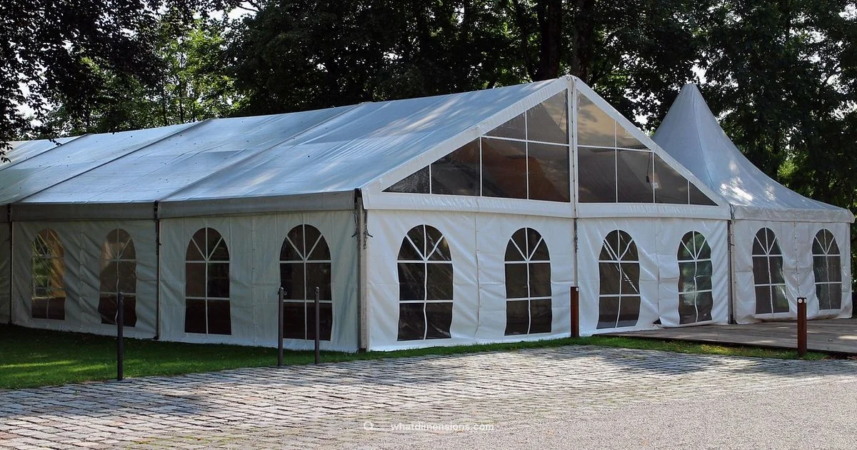 X Banner Dimensions - What Dimensions