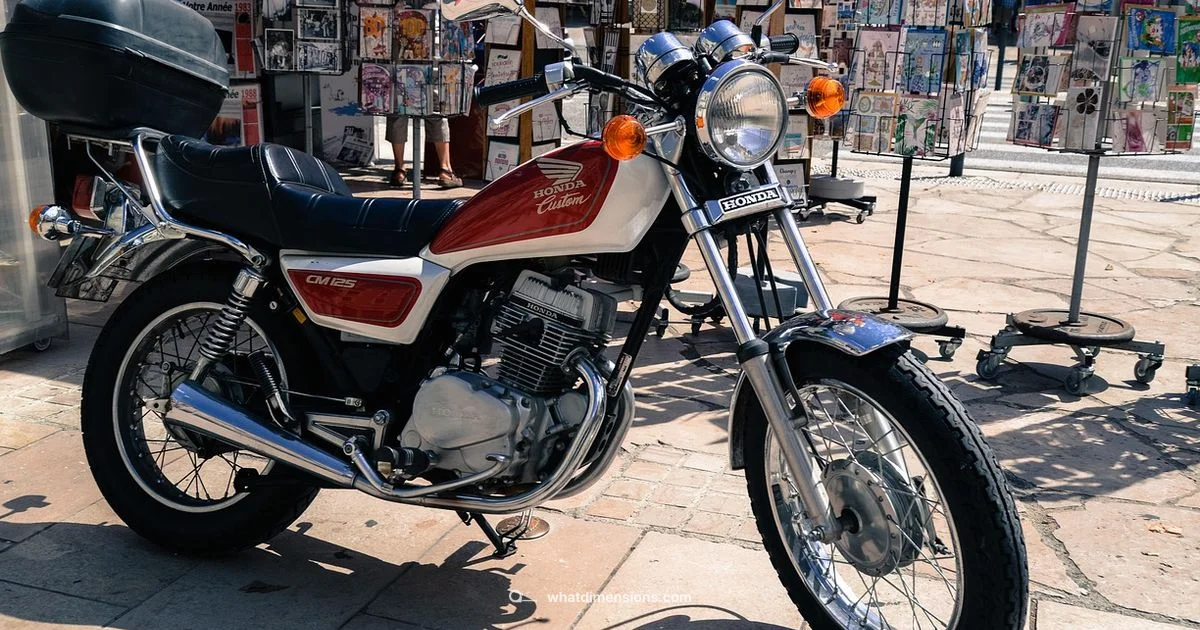 Odyssey Size - What Dimensions