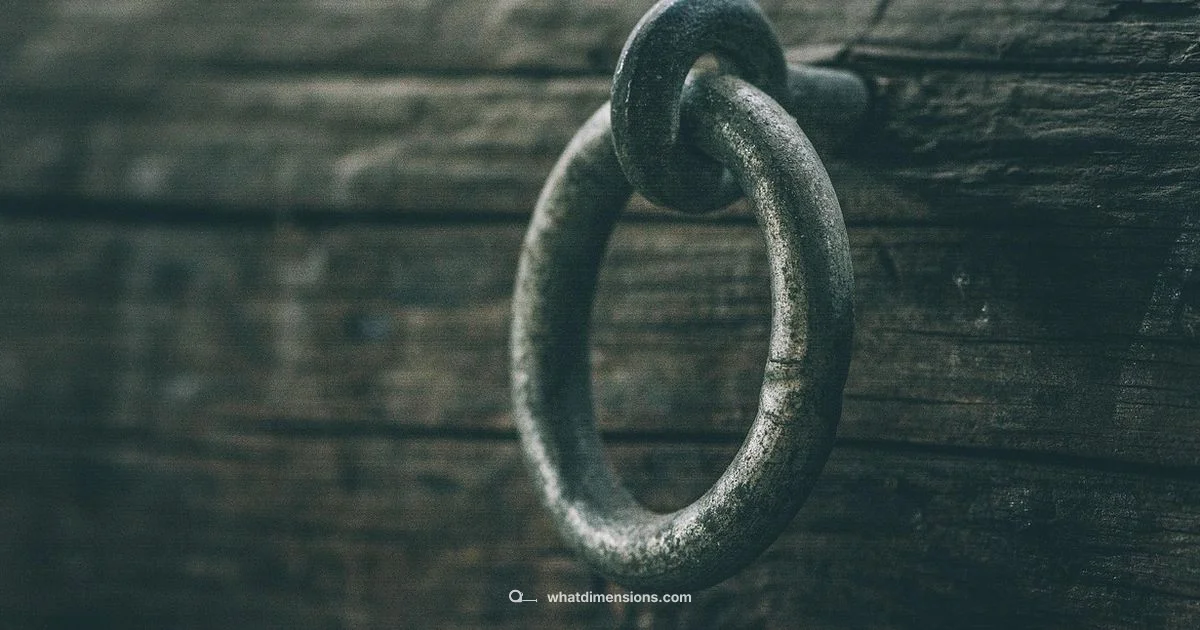 Size 6 Guide - What Dimensions