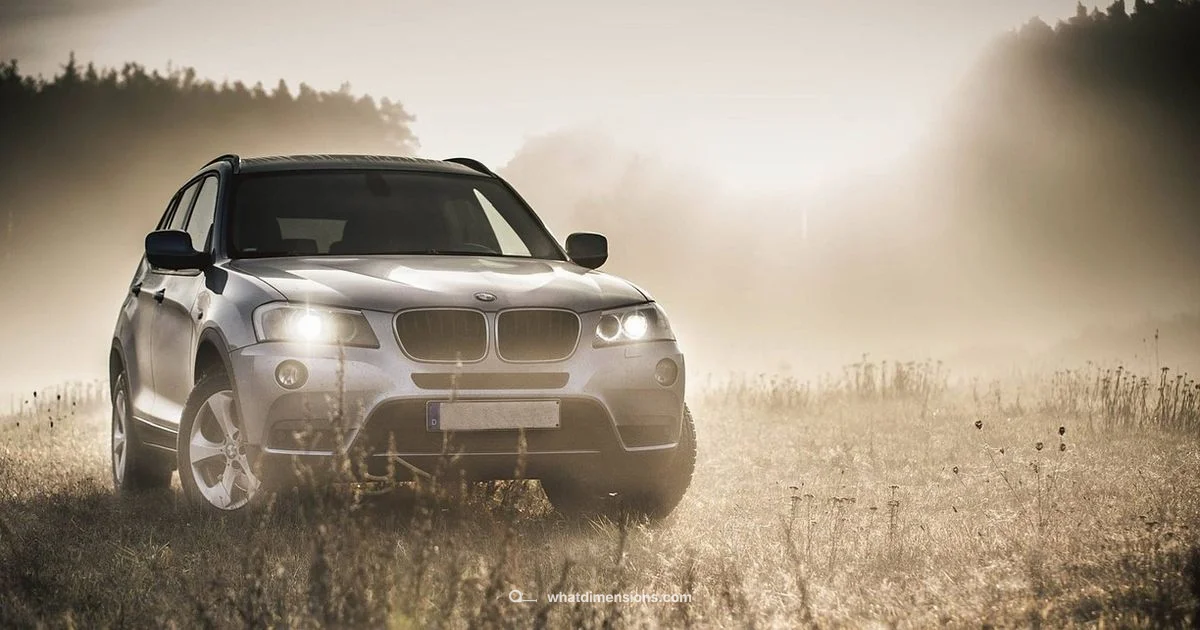 X3 Dimensions X3 Dimensions - What Dimensions