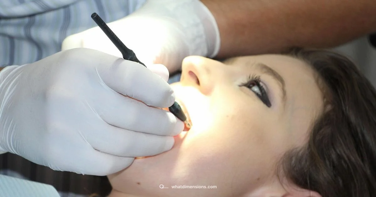 Dental Dimensions Guide - What Dimensions